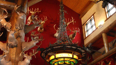 Pojištění myslivostiPojištění exponátů výstav