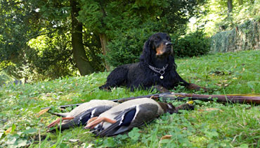 Pojištění myslivostiPojištění členů ČMMJ, z.s.
