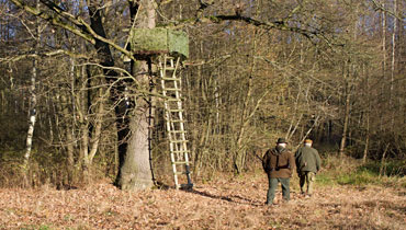 Pojištění myslivostiKrátkodobé pojištění odpovědnosti (pro zahraniční lovce)