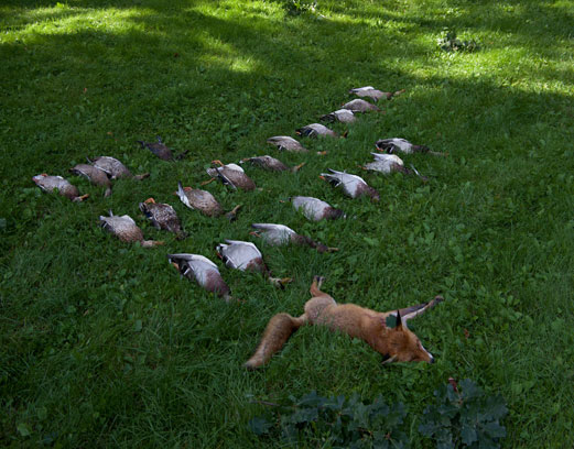 Pojištění myslivostiDlouhodobé pojištění odpovědnosti pro myslivce 